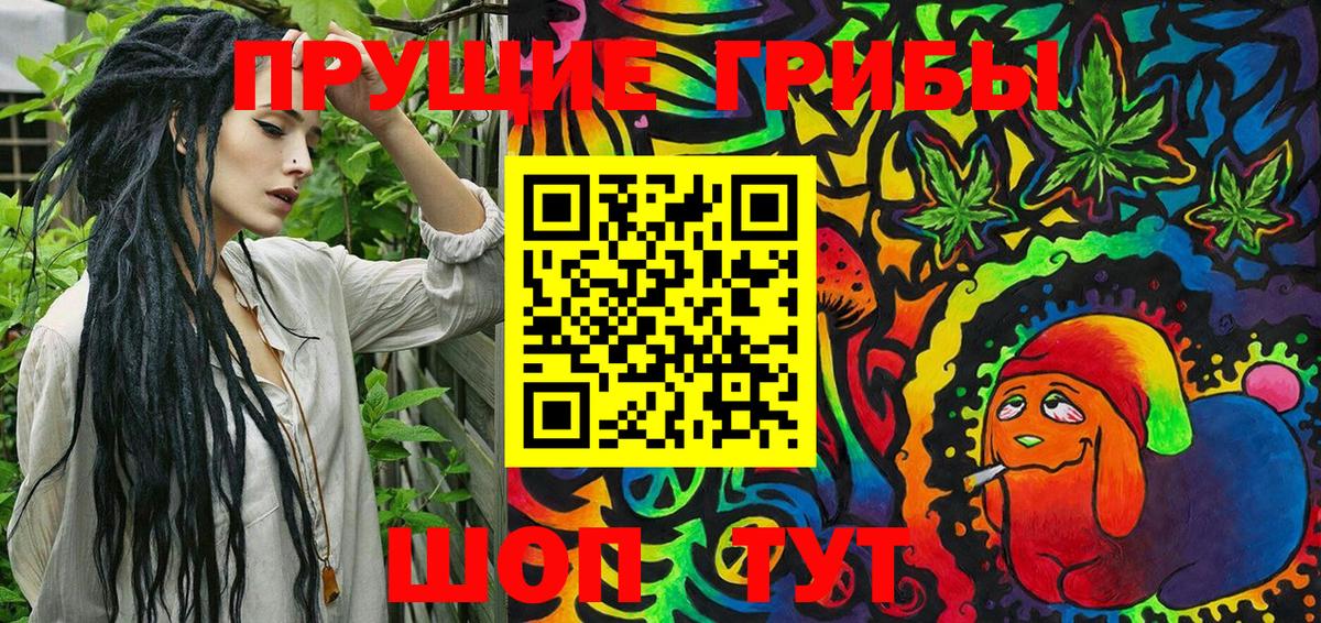 купить  цена  Псилоцибиновые грибы GOLDEN TEACHER  Вход с VPN  Тосно 